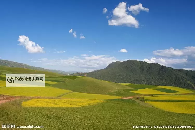 大地资源网免费高清:获取优质资源的最佳平台图1