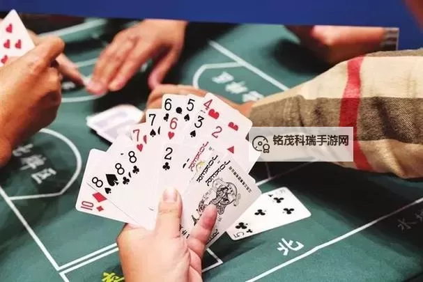 【最新福利视频】轻松愉快的打扑克在线观看,精彩不停!图1