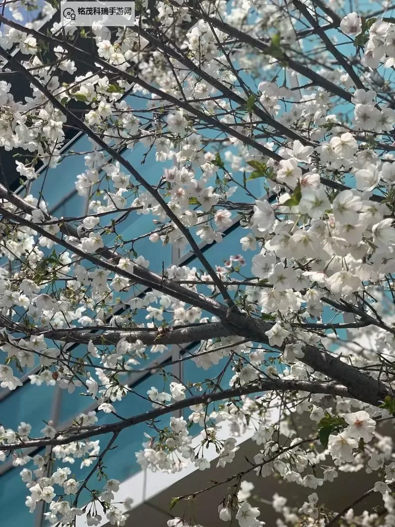 证监会吴清重磅发声：推动资本市场高质量发展新措施图1