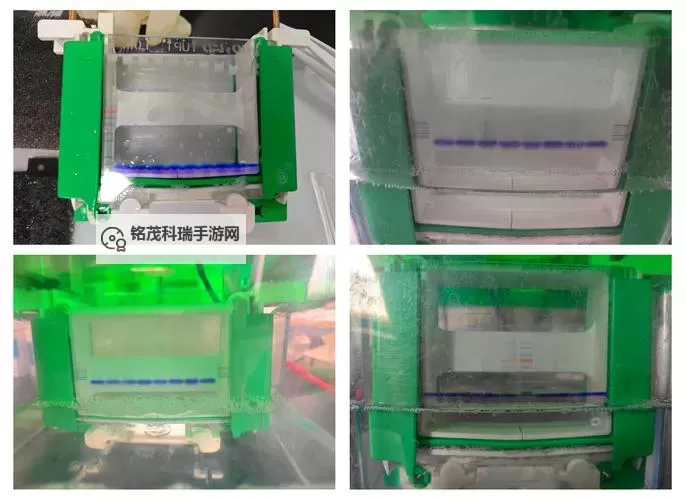 人马胶配方视频高清版：详细制作方法与配比解析图1