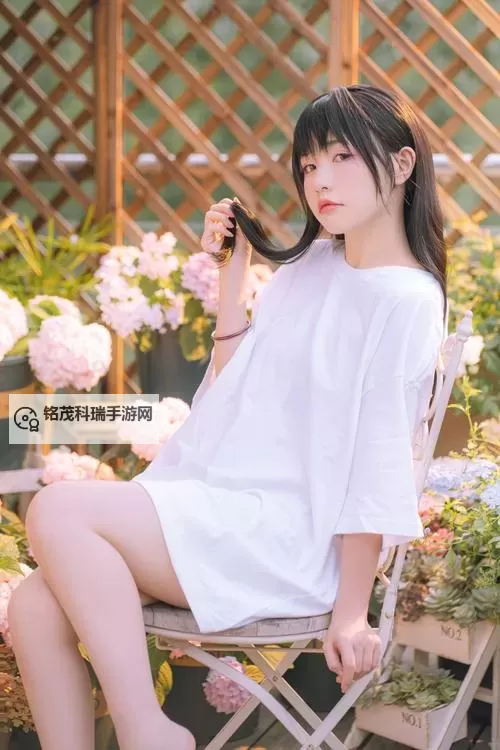 免费在线观看:探索精彩内容的在线bt天堂网WWW在线平台图1