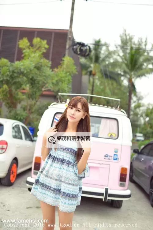 台湾佬中文娱乐网怎么用:详细操作指南与使用技巧图2