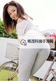 探索日本Y S综合久久久的精彩世界:全方位体验与深度解析图1