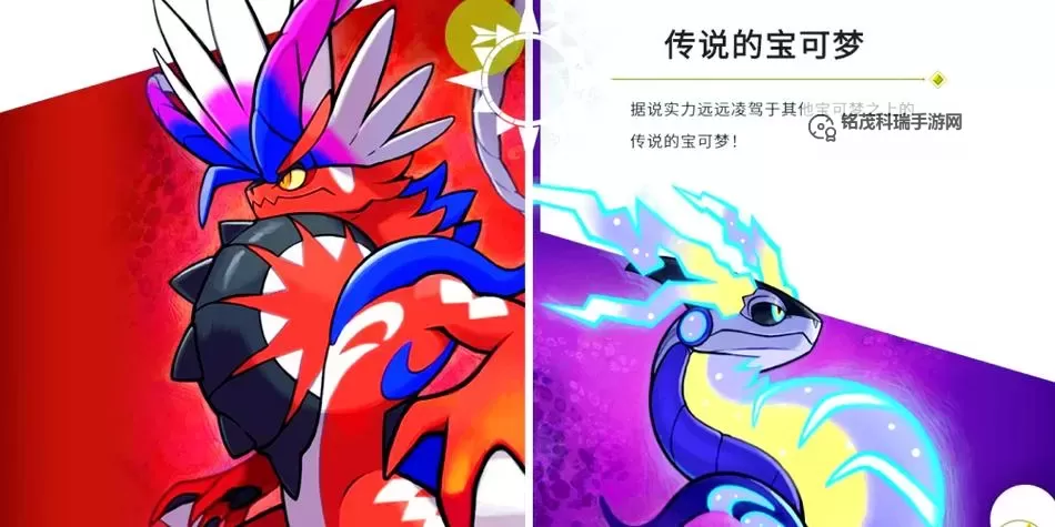 《宝可梦朱紫》单打万寿无疆队配置讲解图2