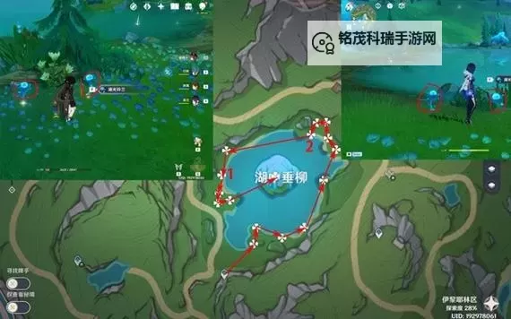 《原神》4.2湖光铃兰采集路线领跑图1