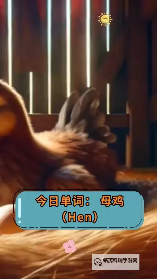 在课上用鸡插英语课代表在线:趣味互动促学习新体验图1