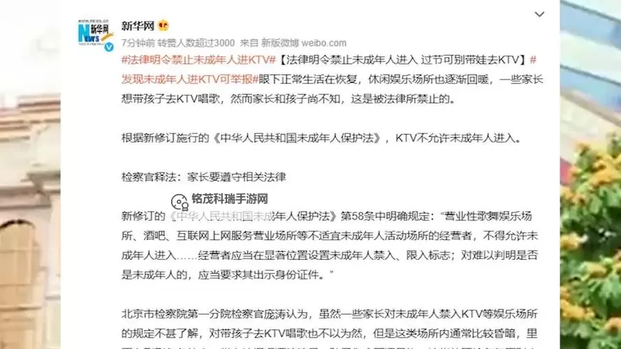 未满十八岁禁止成人视频：青少年网络安全与保护措施解读图1