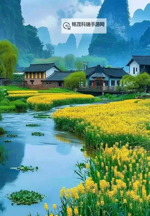 探索美脚社区：0元金币免费视频尽享精彩内容图1