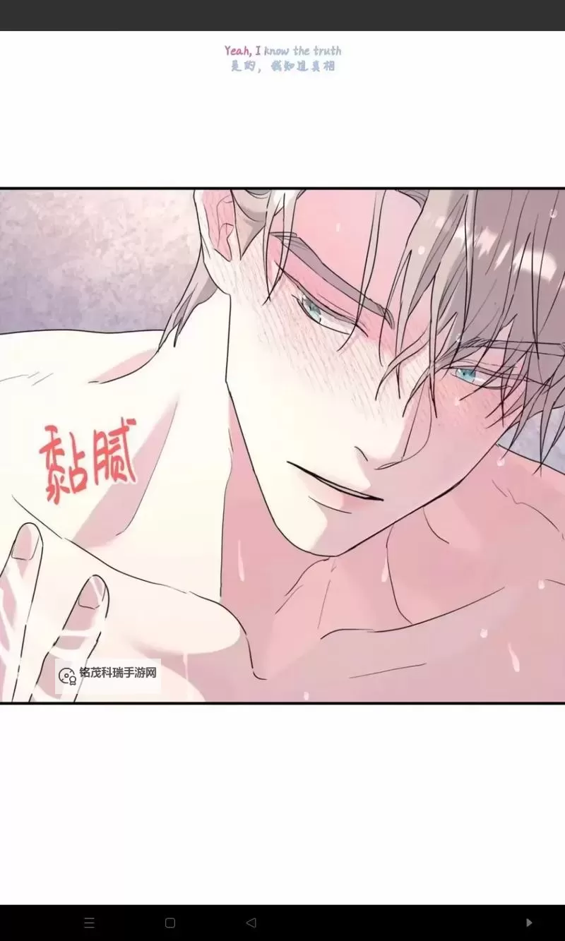 从上往下亲在线观看:一场温馨感人的视觉盛宴图1