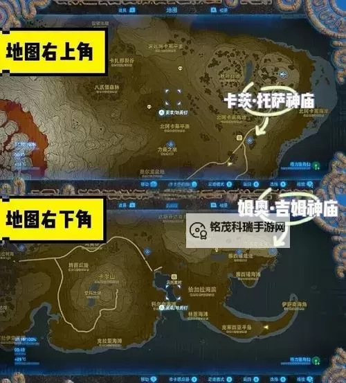 《塞尔达传说王国之泪》独角仙高效收集位置 怎么快速收集独角仙图1