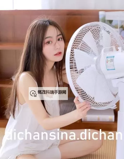 免费在线观看免费视频亚洲日韩：精彩内容随时畅享图1