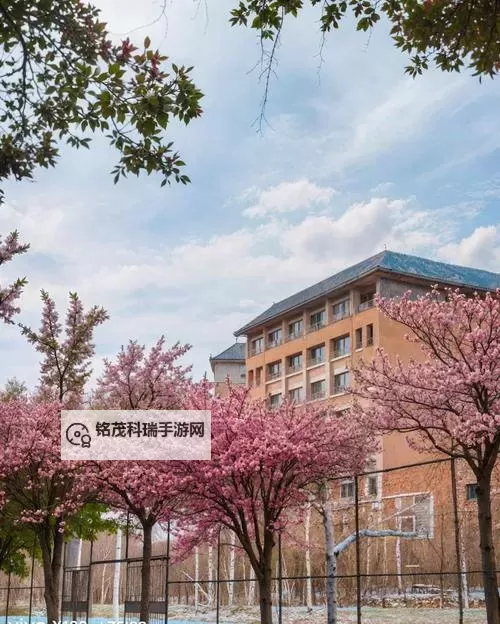 探索青春绽放之美：WWW.校园春色.com带你领略校园春日风情图1