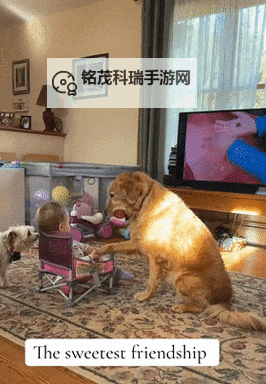 掌握自我安抚的步骤动图:缓解焦虑的实用指南图1