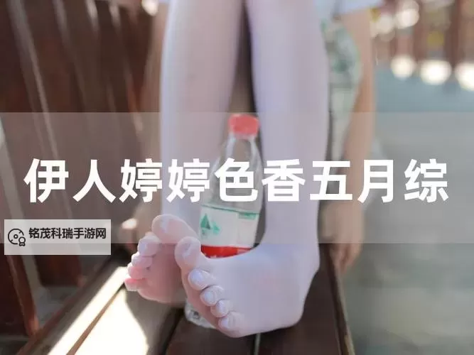 五月香网:带您领略春日的芬芳与精彩图1