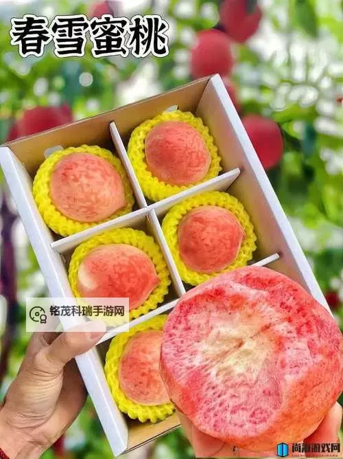 【最新攻略】水蜜桃最新网址获取方法全攻略图1