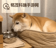 懒懒猪糖心logo在线观看免费:一站式免费欣赏与下载指南图1