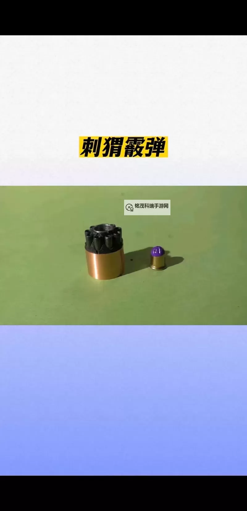 《天外世界》战术霰弹2.0获得位置分享 战术霰弹2.0在哪图1