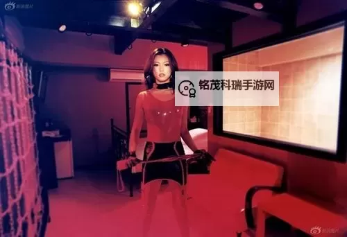 国产社区SM女王圣水踩踏网站：探索另类体验的新兴平台图1