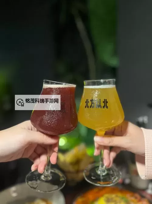 两个人做酿酿酱酱的视频免费观看：精彩酱料制作全过程解析图2