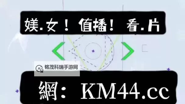 永久adc视频年龄确认：确保内容合规的完整指南图2