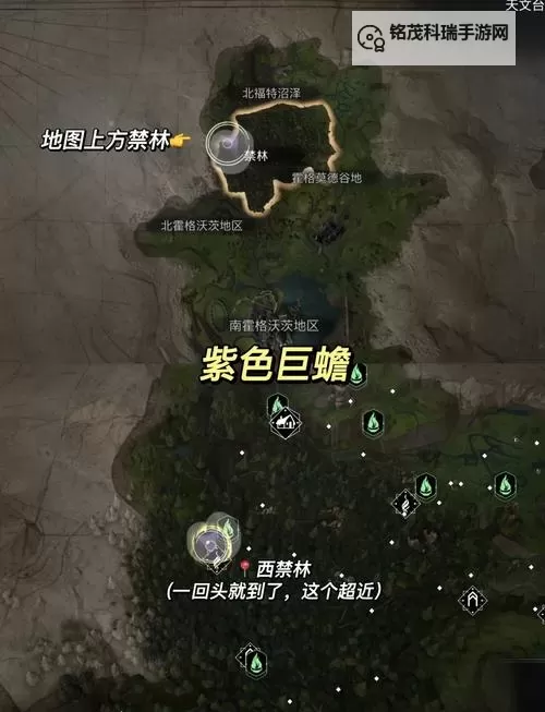 《霍格沃茨之遗》独角兽捕捉攻略 独角兽怎么抓图1