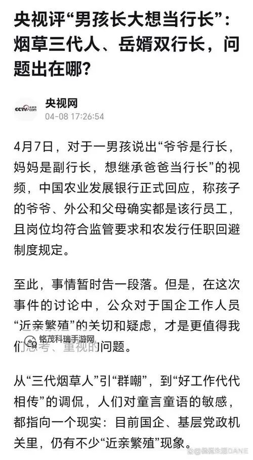 岳婿双行长的问题出在哪：深度分析与解决方案图1