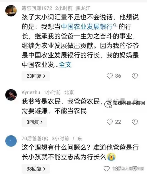 岳婿双行长的问题出在哪：深度分析与解决方案图2