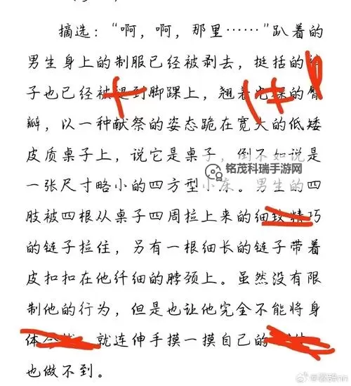 长日光阴乱作一团：麻花全文无删减解析与精彩片段图1