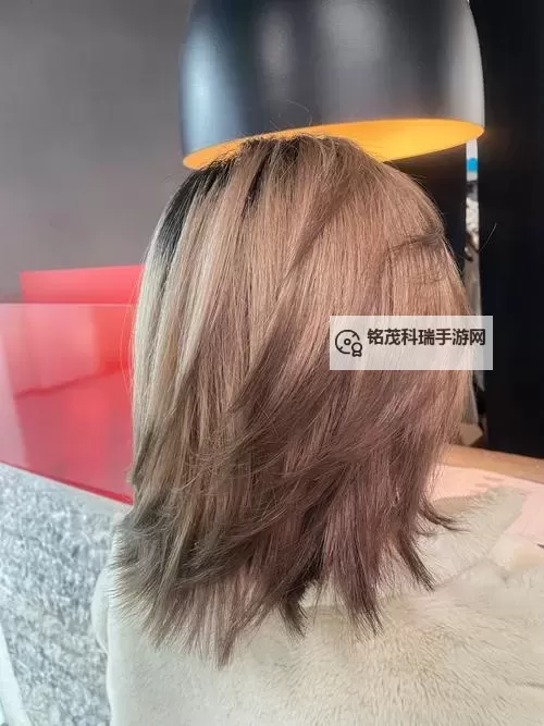 《命运方舟》通用男布偶猫发色穿搭染色方案一览图1