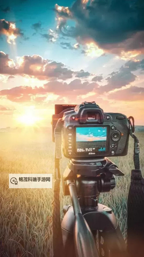 探索高清专业摄影图片GOGO：尽享视觉盛宴的最佳选择图1