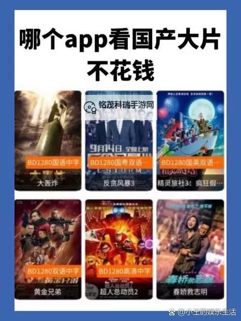 8X8X拔插拔插国产影库永久免费：畅享海量影视资源无忧体验图1