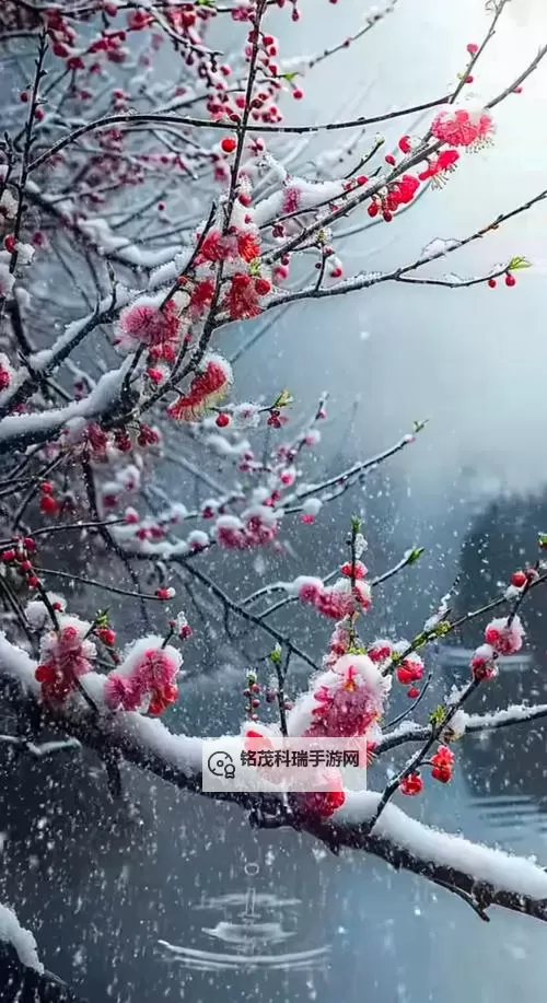 歪歪漫画sss漫画入口：畅享优质漫画资源的最佳选择图1