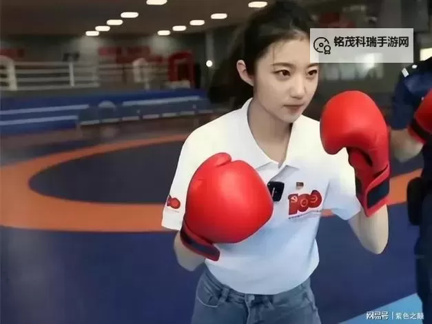 张津瑜7段原版：全系列详解与收藏指南图1