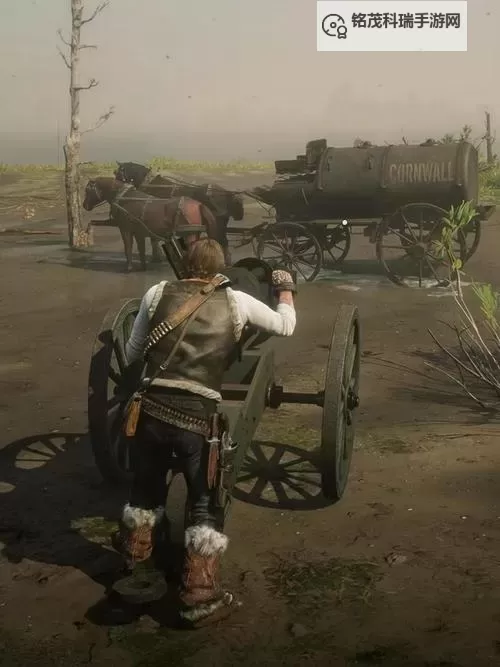 荒野大镖客稀有武器 大镖客1武器在哪里获得图1