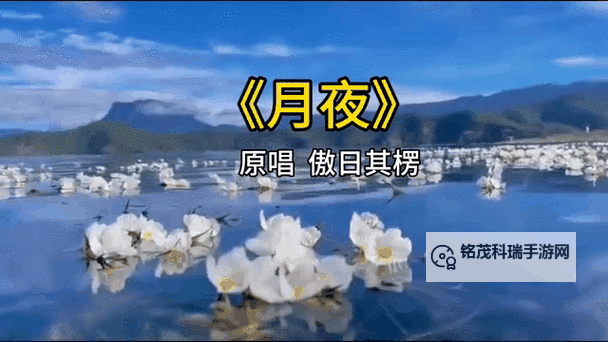 畅享精彩瞬间：月夜app视频在线观看全新体验推荐图1