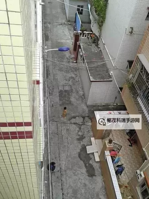 12岁男孩被扒光衣服绑架，忍耐憋尿引发紧张局势图1