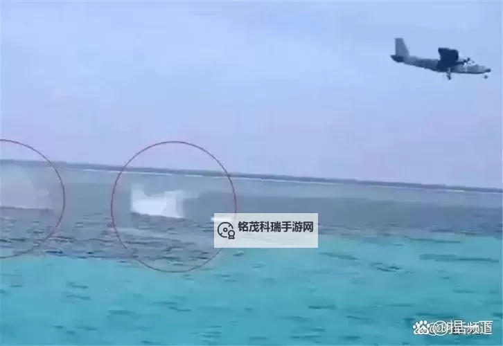 郑福浩飞机坠海事件追踪:真相与影响图1