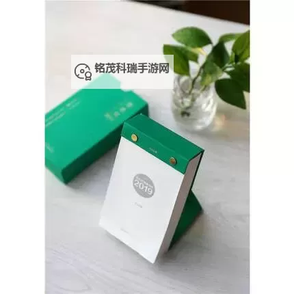 2019天天日：回忆那些每日坚持的点点滴滴图1