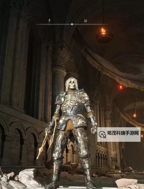 《艾尔登法环》1.09版强势流派整理图1