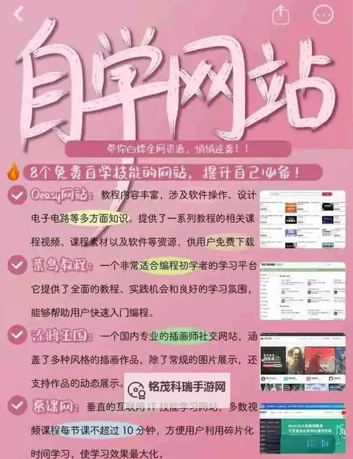 在没人的教学楼里做啊学长网站：探索隐秘的数字世界图1