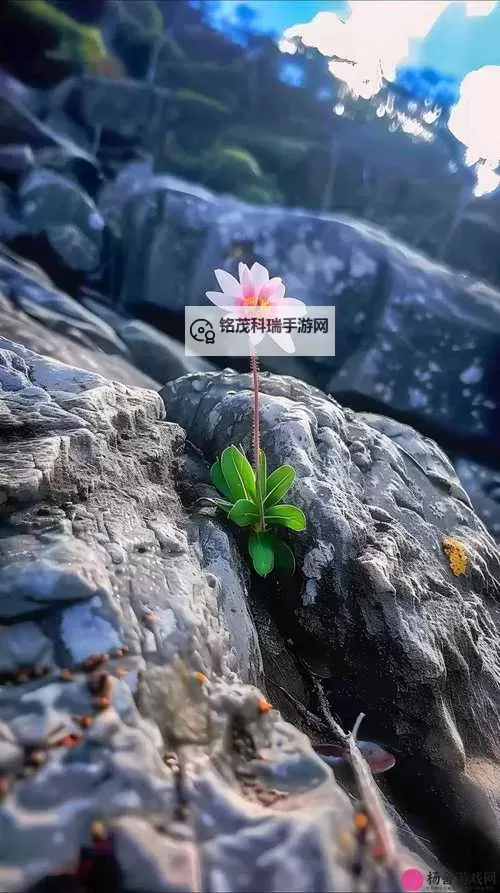 【野花日本中文免费高清】高清无删减，细腻呈现日本最新热播剧图1