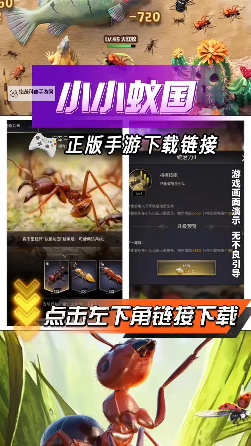 小小蚁国电脑版 电脑玩小小蚁国模拟器下载、安装攻略教程图1