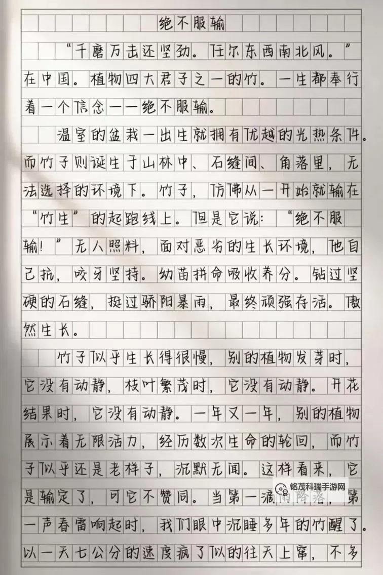 语文课代表的胸软软的作文：温暖与成长的心灵篇章图1