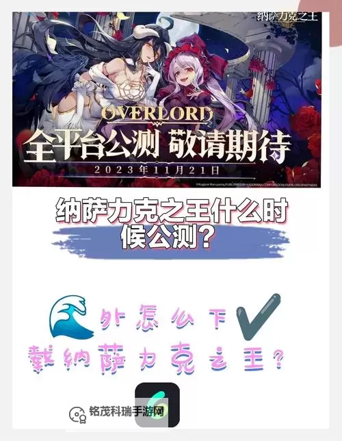 纳萨力克之王电脑版 电脑玩纳萨力克之王模拟器下载、安装攻略教程图1