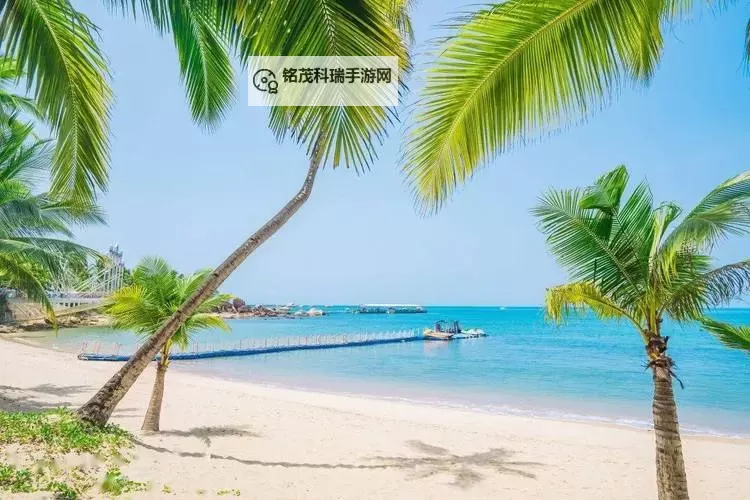 探索海角免费视频：畅享海边精彩瞬间图1