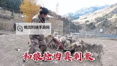 狠狼群wwwww在线观看：激烈猎杀场面一看到底图1