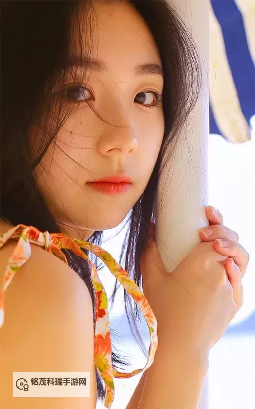 高清免费在线观看:畅享神马影院达达兔影院全部精彩内容图1