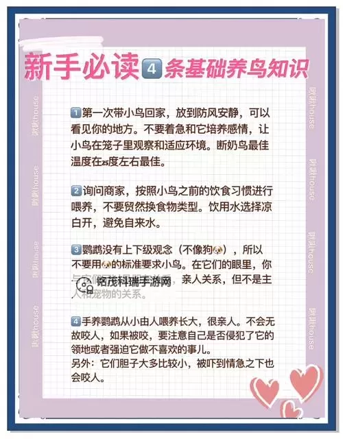 《最终幻想7》终极鸟养成技巧心得 终极鸟怎么养图1