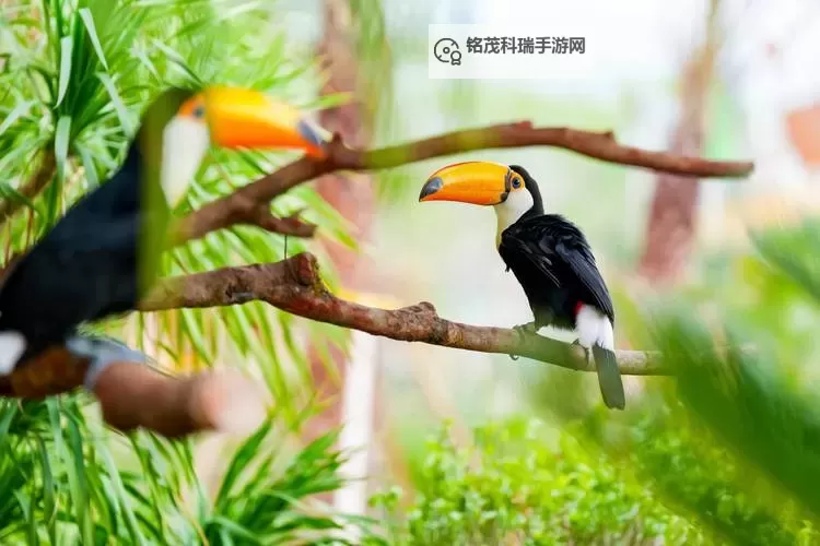 推荐几款热门的美女脱衣服的APP,希望满足您的需求图1