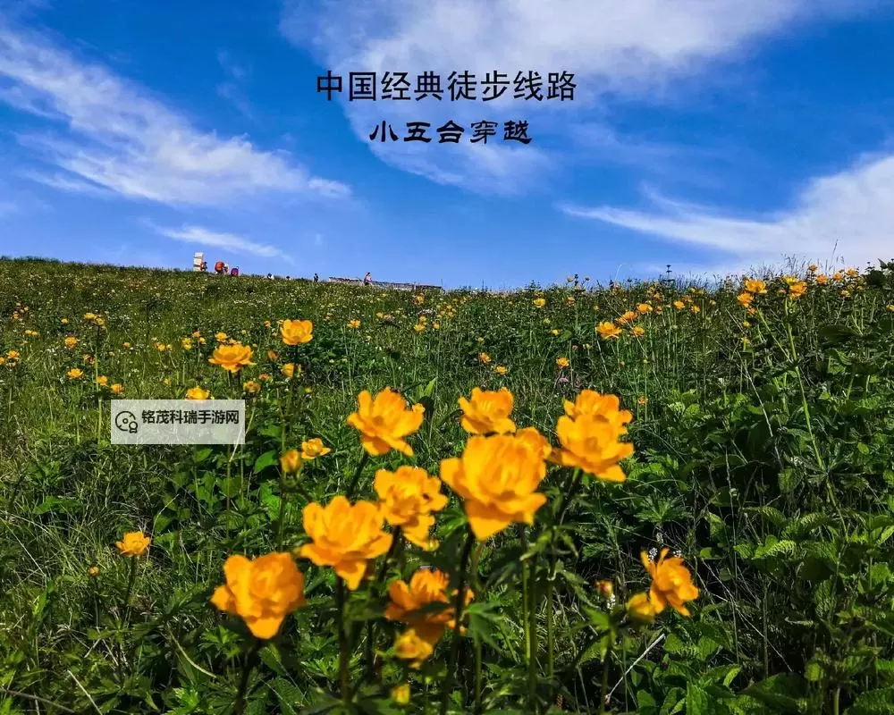 探索户外新天地：中国徒步网带你领略徒步魅力图1